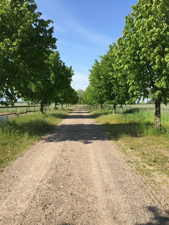 Bjorkasa Gard Bed & Box Villa Annelov Eksteriør bilde